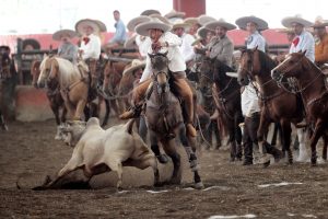 Picture dated on 1 October 2016 showing the traditional festivities of "suertes charras" at Hidalgo State, Mexico. The United Nations Educational, Scientific and Cultural Organization (Unesco) declared today as Intangible Heritage of Humanity the Mexican "charrería", a traditional practice of communities dedicated to the breeding and grazing of cattle on horseback. EFE